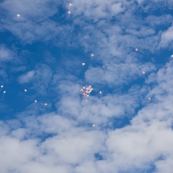 Wittenzellner Winkler